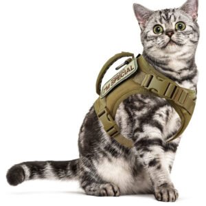 Cat Chest Strap Vest Hand Holding Rope
