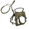 Cat Chest Strap Vest Hand Holding Rope