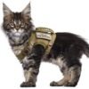 Cat Chest Strap Vest Hand Holding Rope
