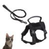 Cat Chest Strap Vest Hand Holding Rope