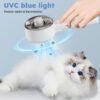 ce808fe9-9e2b-44ac-8bd7-d39c4bd86392.jpg 4 In 1 Cat Steam Brush Pet Electric Spray Massage Comb Dog Pet Hair Removal Comb
