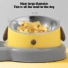 d88ac6b6-92fb-4603-bae5-7144f5387643.jpeg Pet Feeder Bowls Pet Feeder Water Bottle Set Pet Feeding Bowls And Drinkers 15-Degree Tilt Design Protect Cats Dogd Neck